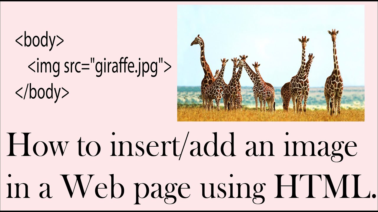 How to insert/add an Image in a Web page by using HTML