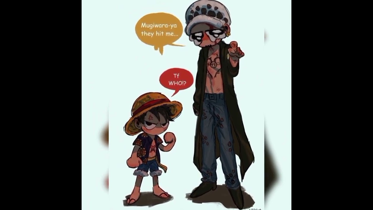 one piece characters funny picture 😽😹 ( Who is your favorite character ❔) 