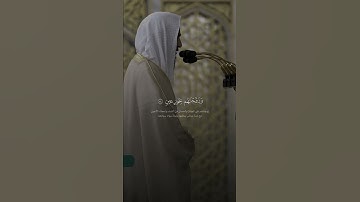 تلاوة حجازية للشيخ احمد بن طالب || تلاوه تشرح الصدر 🥰🥰