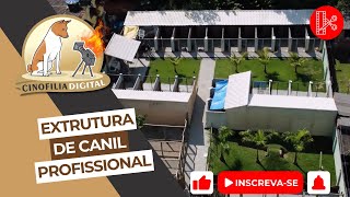 Qual é o tamanho ideal de um canil | Cortes Cinofilia Digital