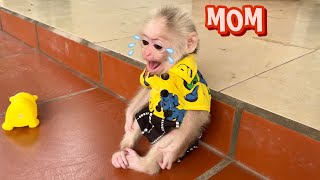 Baby monkey Abi cried because she missed her mother