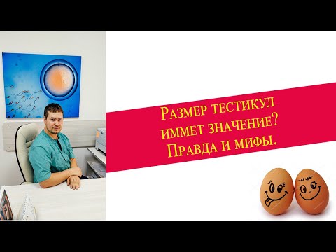 Размер яичек мужчины имеет значение? Правда и мифы от уролога-андролога.