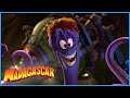 Dave is wearing a wig | DreamWorks Madagascar