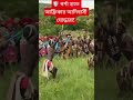🛡️ বর্শা হাতে আফ্রিকার আদিবাসী যোদ্ধারা!#lifeisbutadream AfricanCulture #Warrior #ytshorts