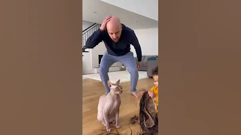 Video 11659421: cat sphynxcat funnycat, cat sphynxcats funny, hairless cat
