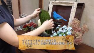 ウェルカムボードの手作りアイデア