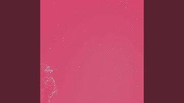 Dashing Backdrops for Content Experiences