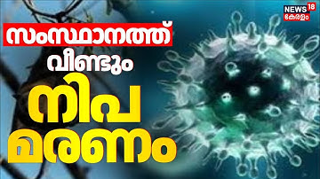 Nipah Death | പ്രാഥമിക പരിശോധനയിൽ ഫലം പൊസിറ്റീവ് | Palakkad | Nipah Virus Kerala | Latest News