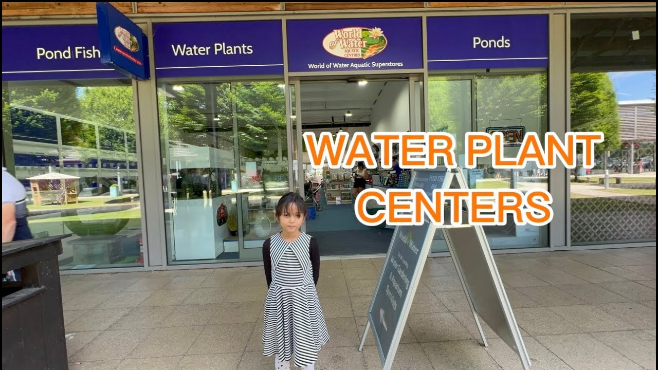 WORLD OF WATER AQUATIC CENTERS SUPERSTORES Nancy Taba - YouTube