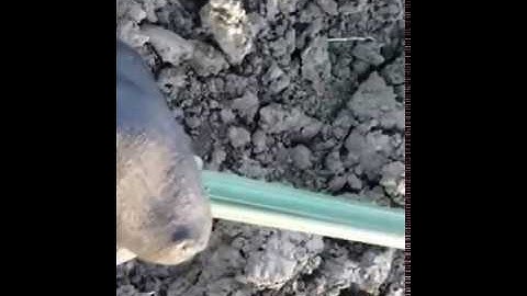 TX 2003 Pinpointer field test, Bounty Hunter, Fisher, unmodified.