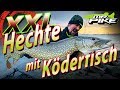 XXL Hechte mit Köderfisch | Hechtangeln vom Ufer | Deadbaiting Spezial