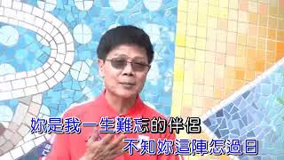 美麗之星˙林秉甲˙一生難忘˙卡拉版