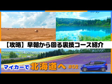 【北海道 車中泊旅】美瑛・富良野の絶景めぐり✨