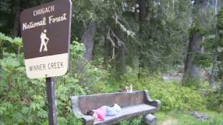 Himali Hiking The Winner Creek Trail Girdwood Alaska Part 1