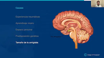 ¿Puedes ver la ansiedad en la resonancia magnética?