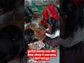 कुलदेवी कंवारका माता मंदिर बेलवा में आज #news #shortvideo #modi #namo