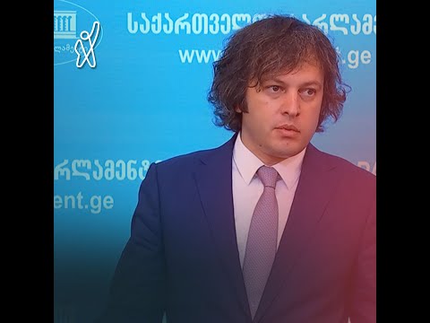 „ჩემი მხრიდან დასაქმებაზე 0 შეთავაზება იყო, მისი მხრიდან არაერთი თხოვნა“