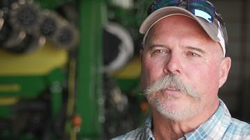 Cotton varieties with built-in yield protection