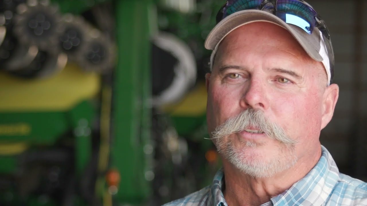 Cotton varieties with built-in yield protection