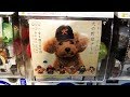【ガチャ】かわいい かわいい 犬の野球チーム｜"Dog headger Ver.2 BASEBALL" Capsule Toy