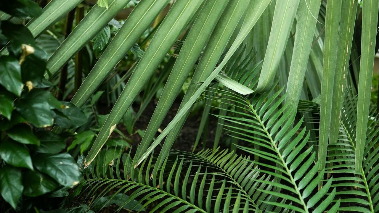 #ተቁጡ ነገር ግን#ኃጢያትን አታድርጉ