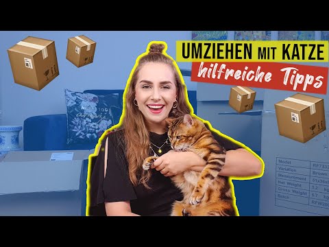 Video: Umzug mit Haustieren: Tipps für die Suche nach einer tierfreundlichen Wohnung