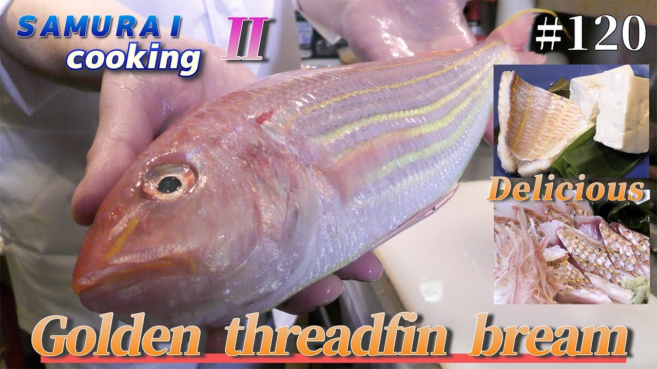 Golden threadfin bream! - YouTube