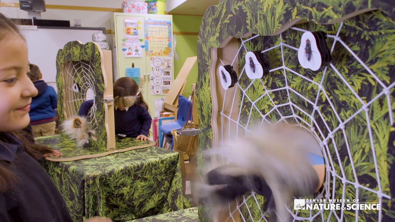 museums in london Wild Senses promo