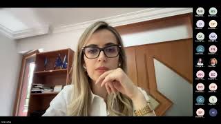 The Kosovo Serbia Dialogue Between Achievements, Setbacks, and Unknowns (Webinar)
