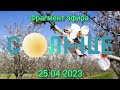 Фрагмент эфира Солнце 25 04 2023