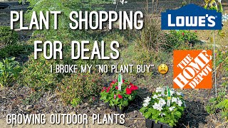 Insane good deals at lowes & walmart! Plant Shopping, Plant Haul, & Garden Chores 🥵🪴☀️