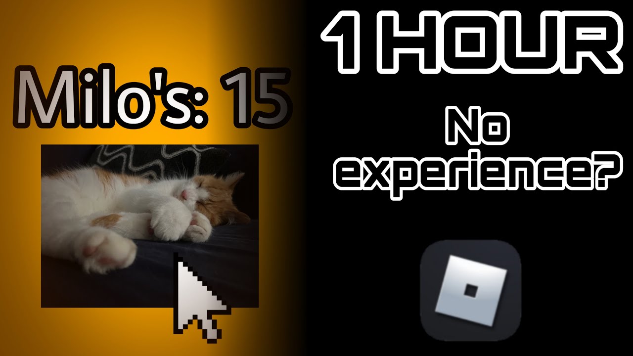 1 HOUR TO MAKE A WEBSITE IN ROBLOX with NO EXPERIENCE? - Roblox CatWeb ...