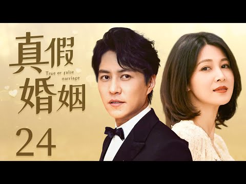 【都市情感剧】真假婚姻 24 | “老干部”靳东首次演绎“凤凰男”，陷入柴米油盐的混战，遭妻子童蕾的恨，两人在一场假离婚的事件中，假戏真做（《底线》靳东、《星汉灿烂》/《与君初相识》童蕾、潘虹）