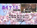 桜のやうに 前川清 cover RN