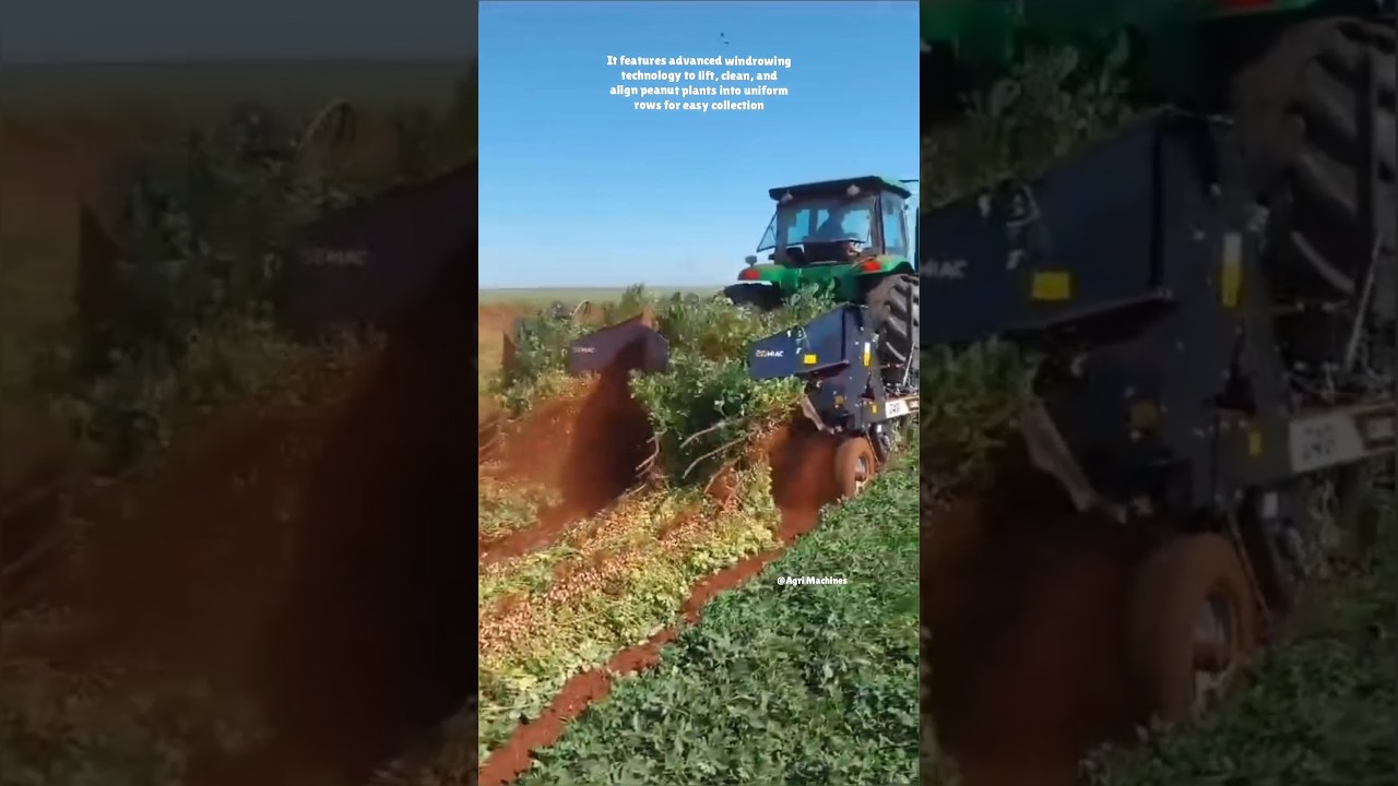 Peanut Harvester MIAC C400 || Made By Indústrias Colombo Brazil || 