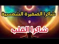 شاكرا الضفيرة الشمسية وارتباطها بالخوف وشاكرا القلب وارتباطها بالحب والعلاقات
