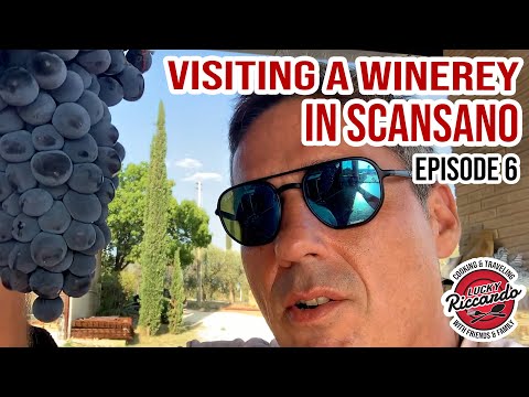 Visiting A Winery In Scansano