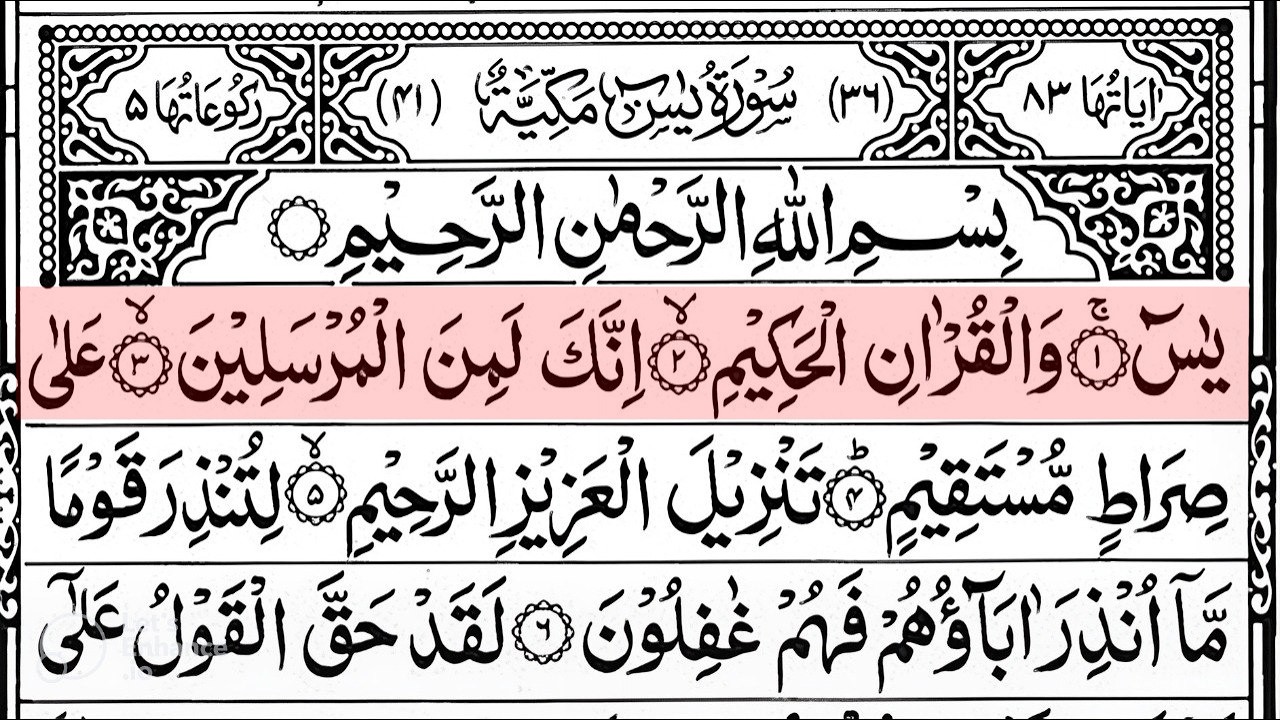 Surah Yaseen Surah Ar Rahman | Best Quran Recitation | Surah Yasin Tilawat | Episode_002