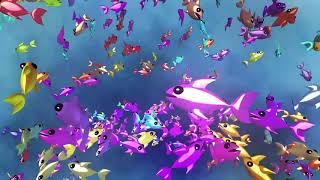 Famous FISH FLOCK AQUARIUM Wealth