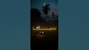 وضاقت عليهم انفسهم ❤️‍🩹🍁#قرآن #القرآن_الكريم #تلاوة_خاشعة #foryou #fypシ゚
