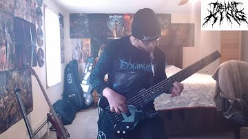 Beyond Creation - Omnipresent Perception (Solo Section Cover)