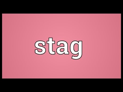 Stag Meaning