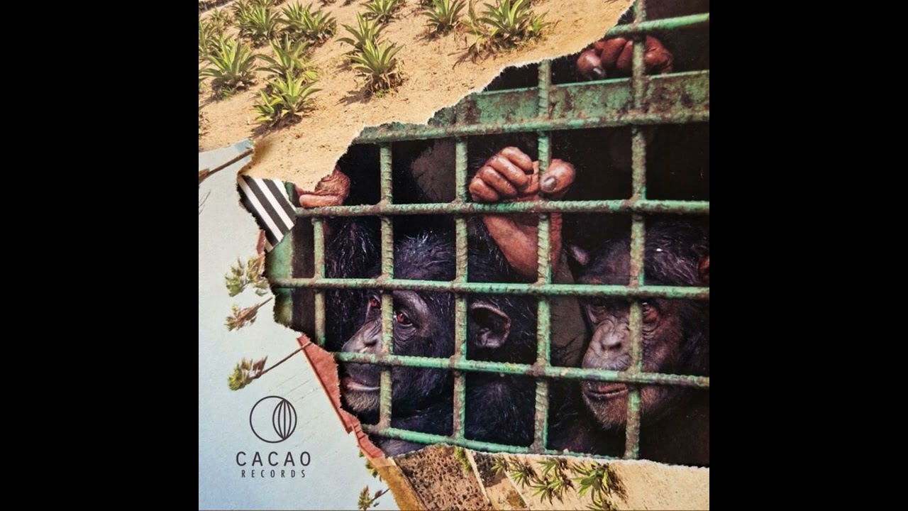 BEN GOMORI - CHIN CHIN BOOM [CACAO RECORDS]