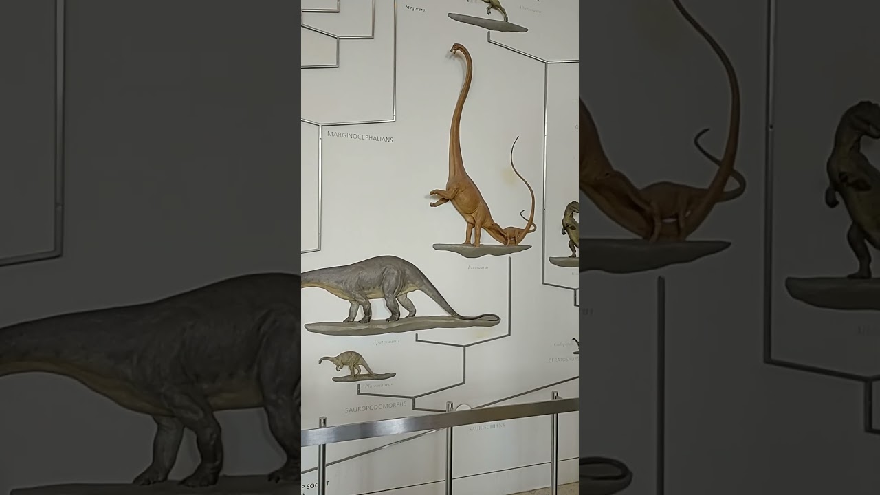 Dinosaur Timeline
