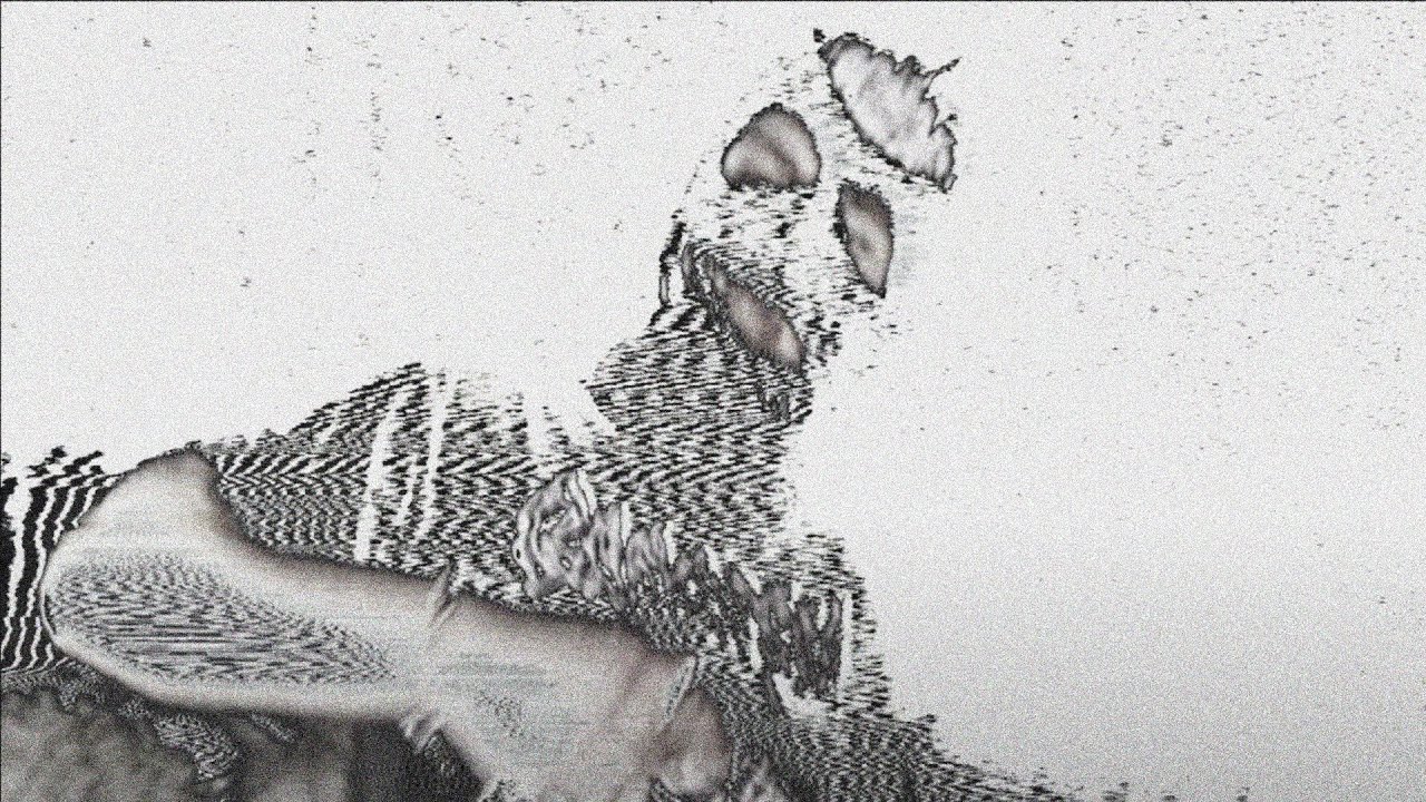 ★☆
