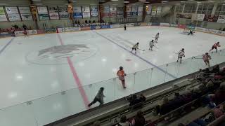 Fergus Falls High vs St. Cloud Tech Girls' Varsity IceHockey