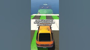 Mind-Blowing Facts You Never Knew! Unveiling the Secrets of Honey ,and more #youtubeshorts #facts