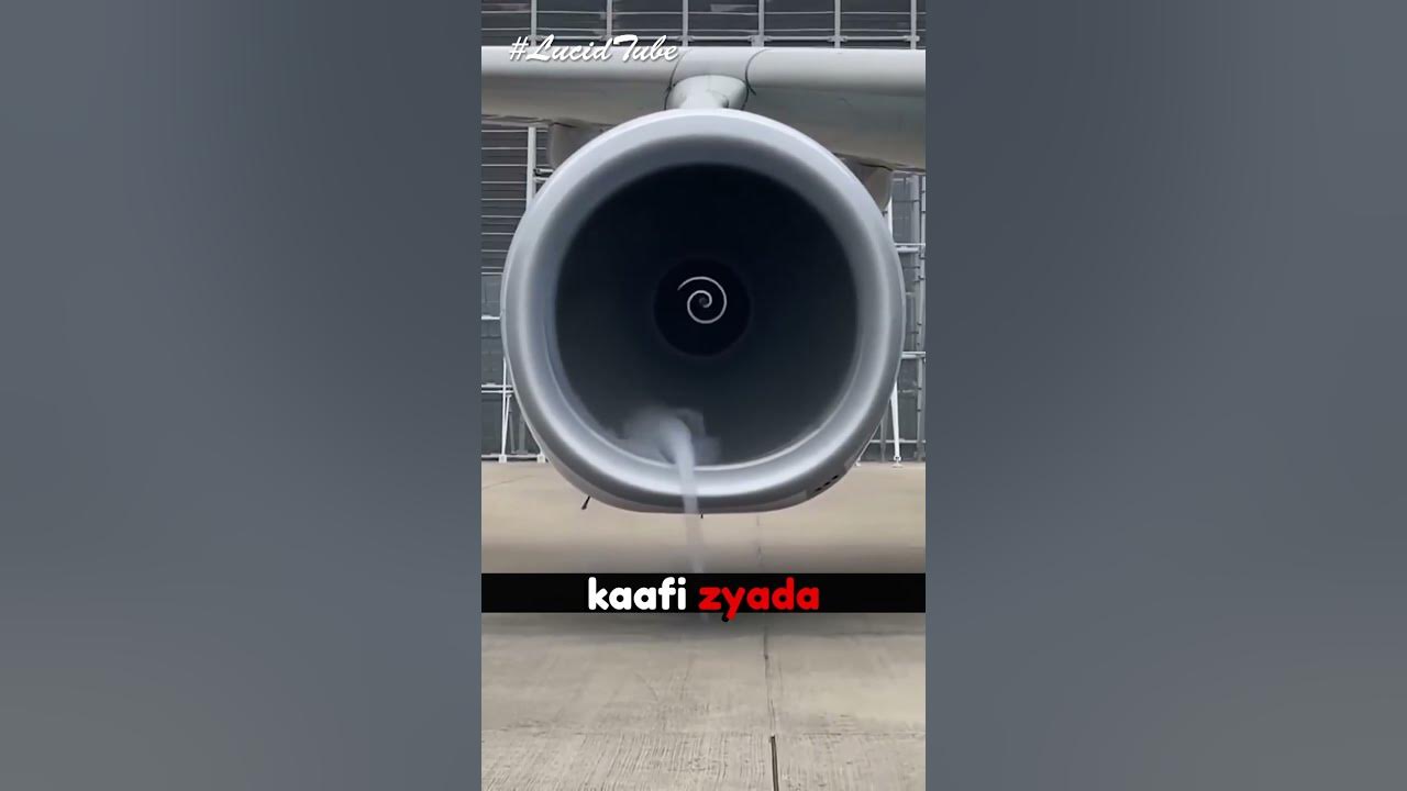 Why Don't Jet Engines Have Bird Guards? shorts YouTube