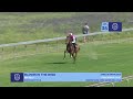 Lot 35 - BLOWIN IN THE WIND - QUERARI (GER) x NORDIC WIND_ 22 October 2023