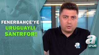 Fenerbahçeden Diego Rossi Hamlesi Ahmet Selim Kul Gelişmeleri Aktardı A Spor